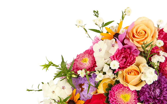 hero-flower img